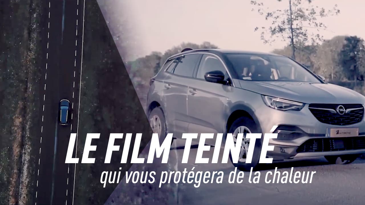 Beluga: the best tinted window film for cool summer road trips!